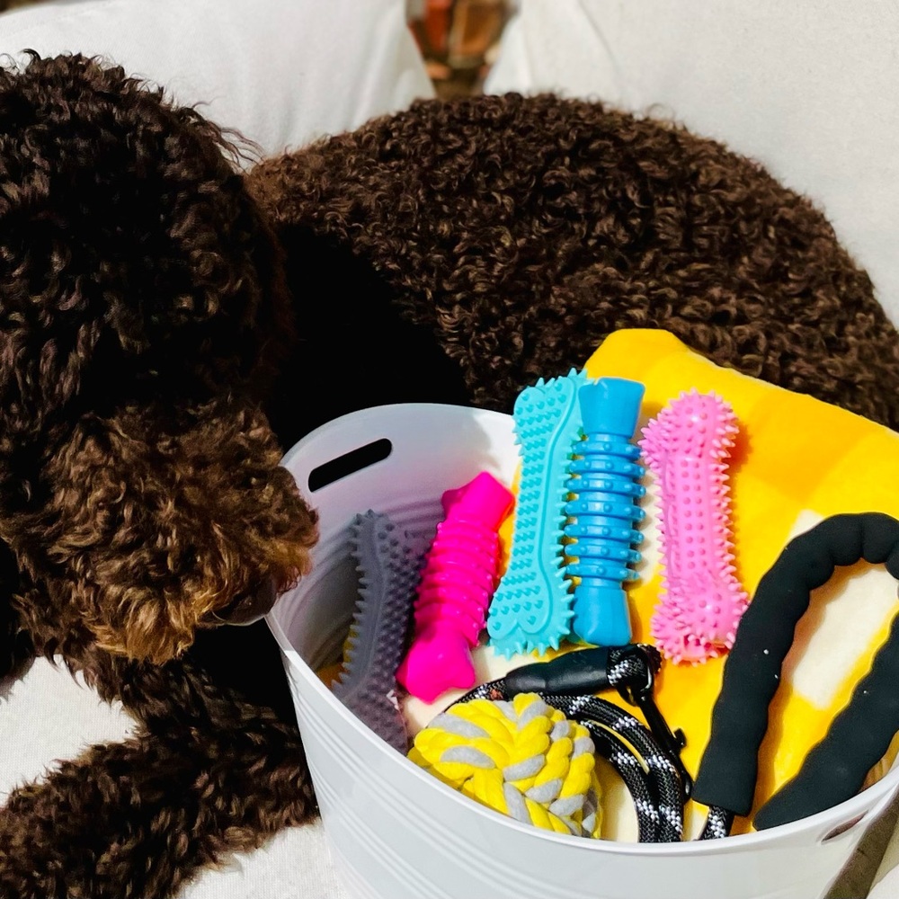Brand New🦮🐾Dog 🦮🐾 Pet Gift Baskets